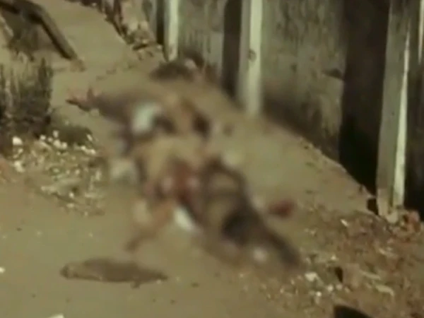 1971 Tragedies: Harrowing Accounts of Alleged Atrocities on the Bihari Community Emerge