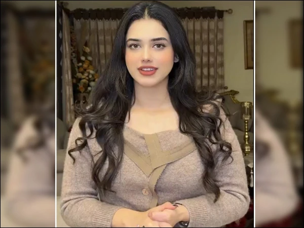 نازیبا ویڈیو اسکینڈل: علینہ عامر کا معلومات فراہم کرنے پر نقد انعام کا اعلان
